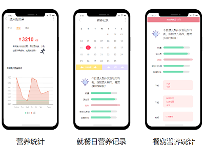 营养分析